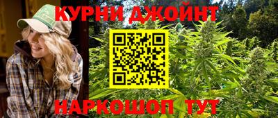 индика Гусь-Хрустальный