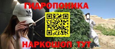 индика Гусь-Хрустальный