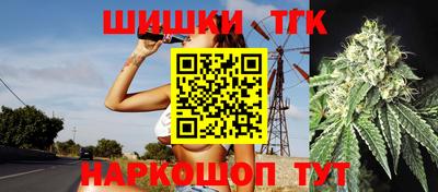 индика Гусь-Хрустальный