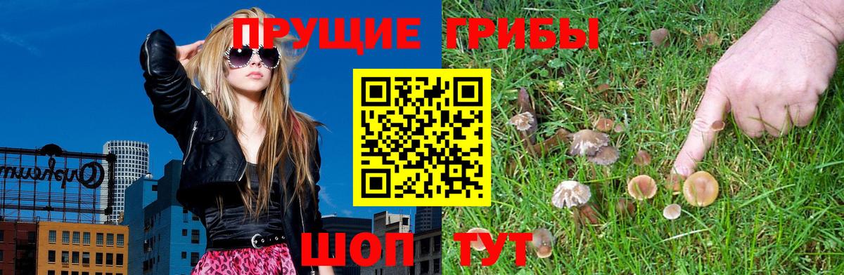 Йошкар-Ола  Галлюциногенные грибы Psilocybe  Вход с VPN 
