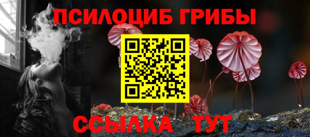 MDMA  A-PVP СК кристаллы  Продажа наркотиков  Канабис  Йошкар-Ола  Гашиш  Вход с VPN  ГАШ  Меф МЯУ МЯУ  